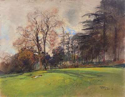 Meadow and trees - Casciaro Giuseppe